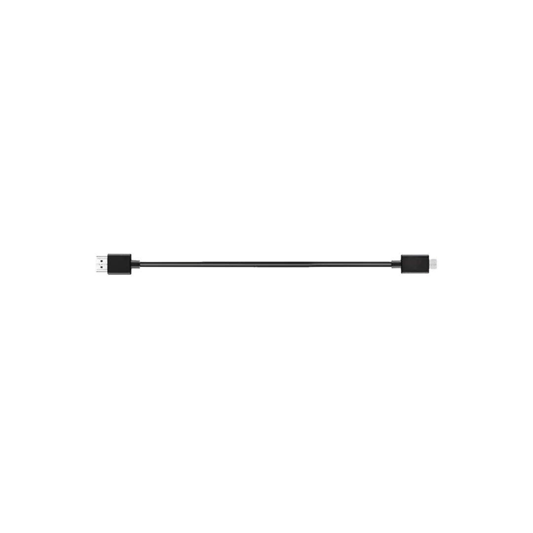DJI R Mini-HDMI to HDMI Cable (20 cm)